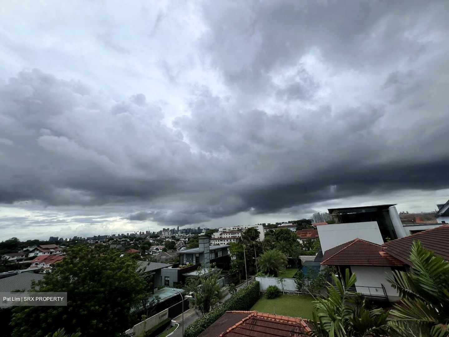 Raffles Park (D11), Detached #453038821